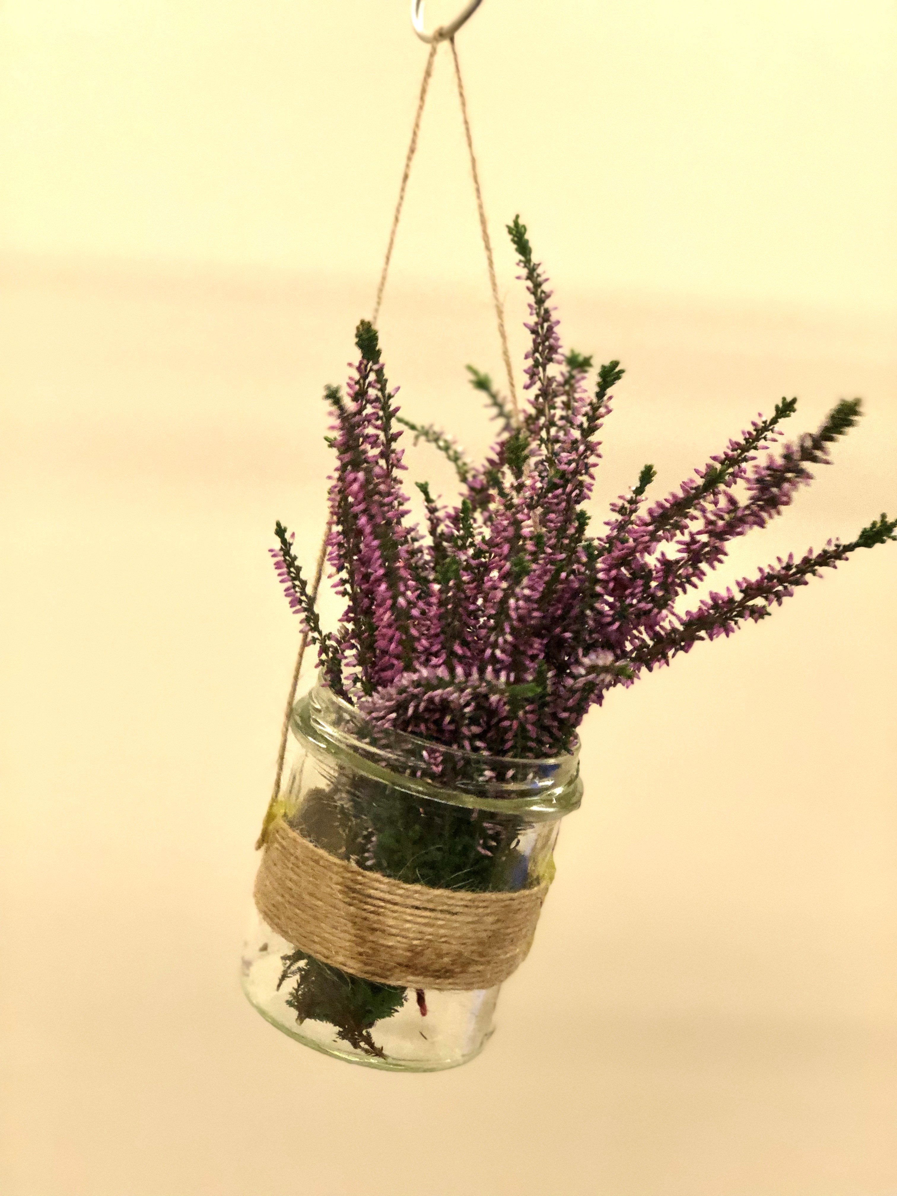 lavender jar