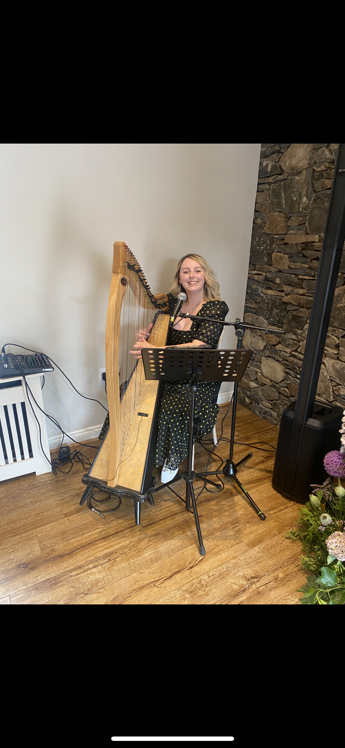Sarah McVeigh Harpist & Singer