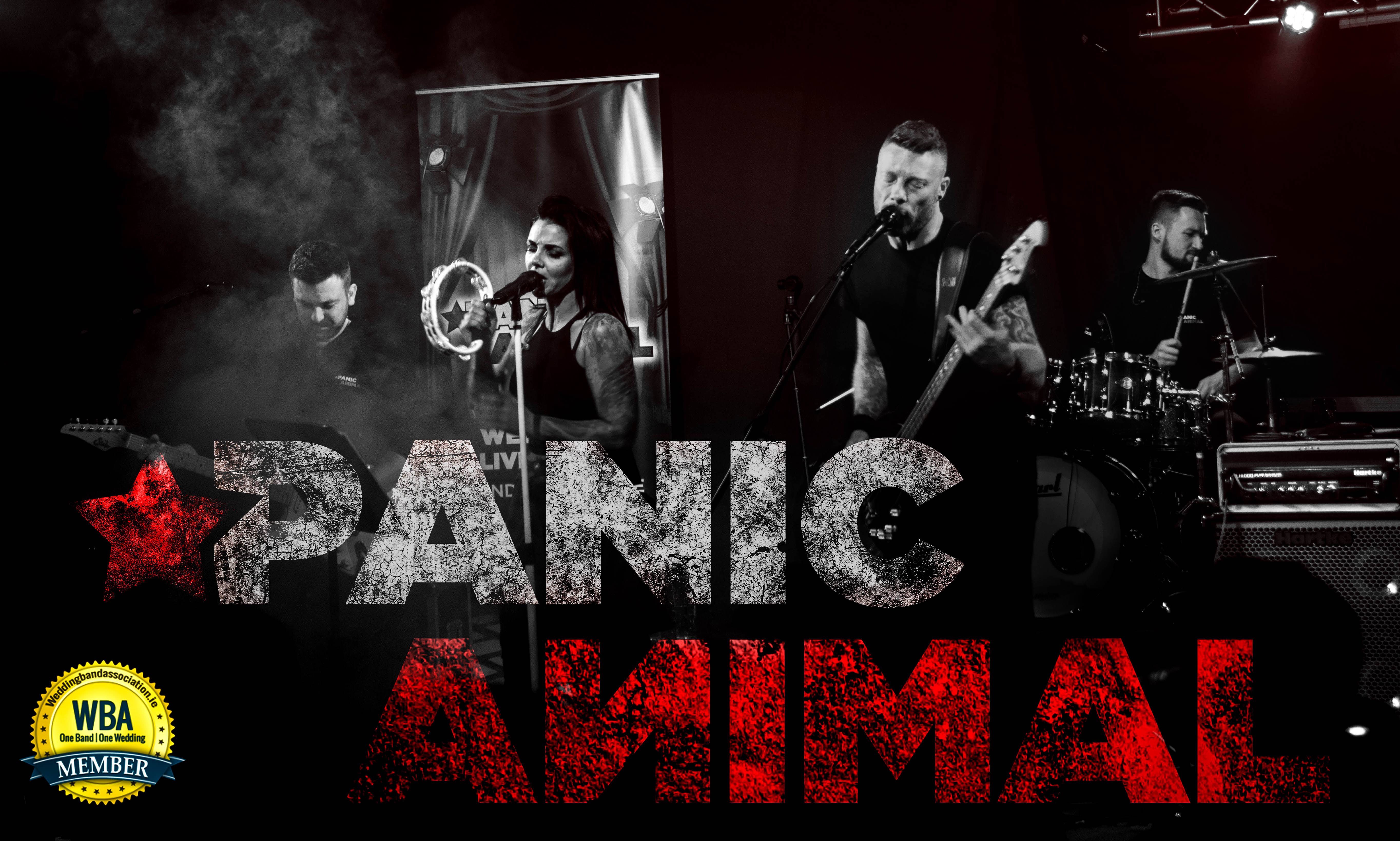 Panic Animal, 2018 Wedding Band Of The Year